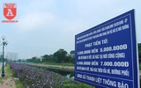 Đẹp ngỡ ngàng với con đường hoa tím bên dòng sông Tô Lịch